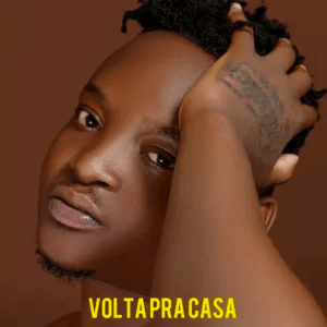 Valter Artístico – Volta Pra Casa