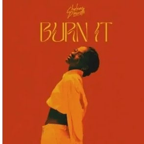 Chelsea Dinorath – Burn&nbsp;It